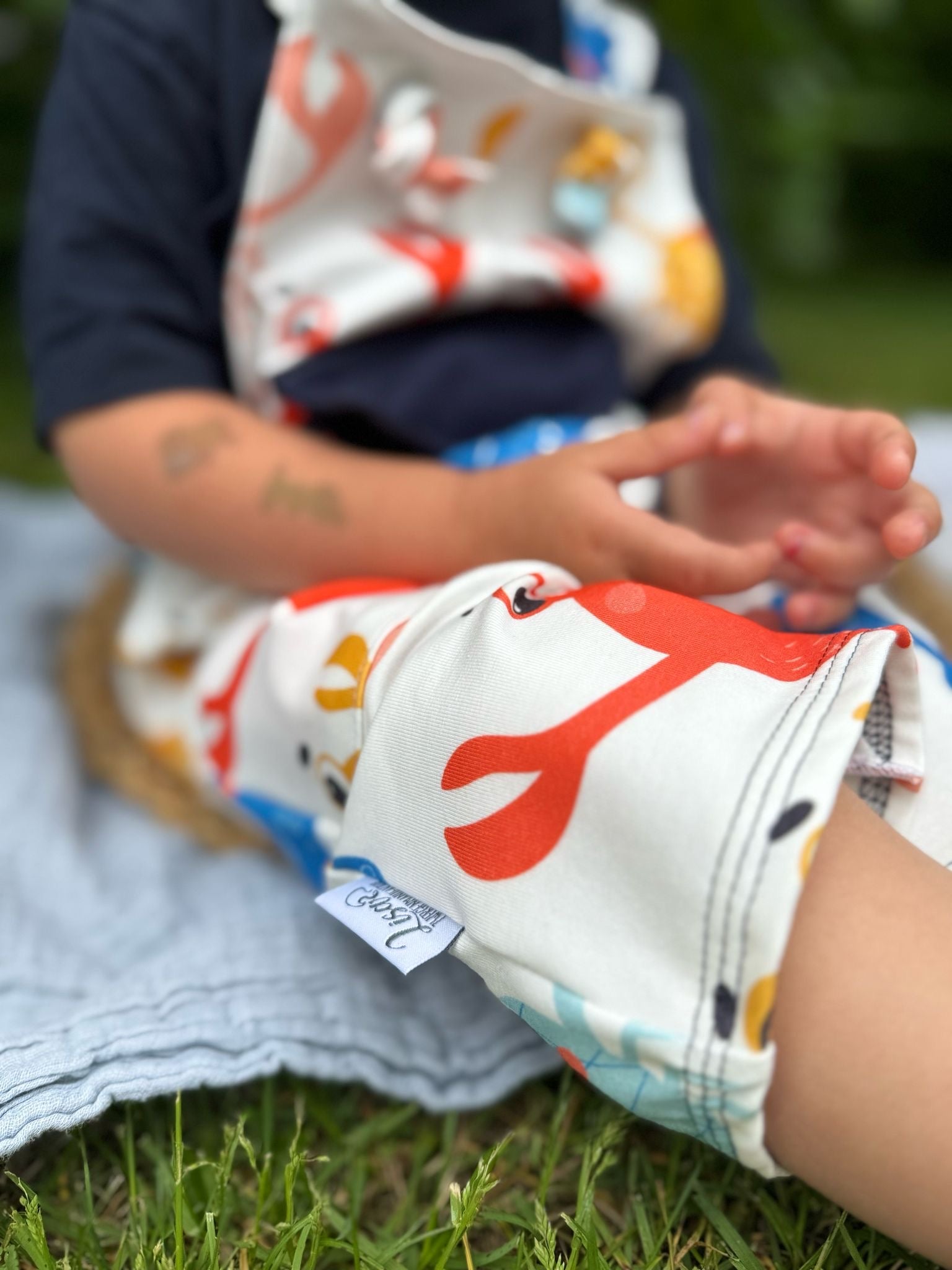 Kleiner Krebs Dauervorbestellung